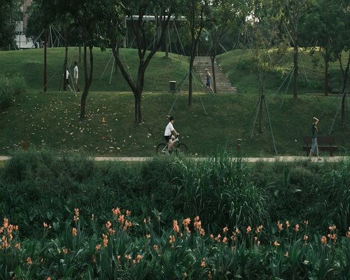 person walking in a bright urban green park